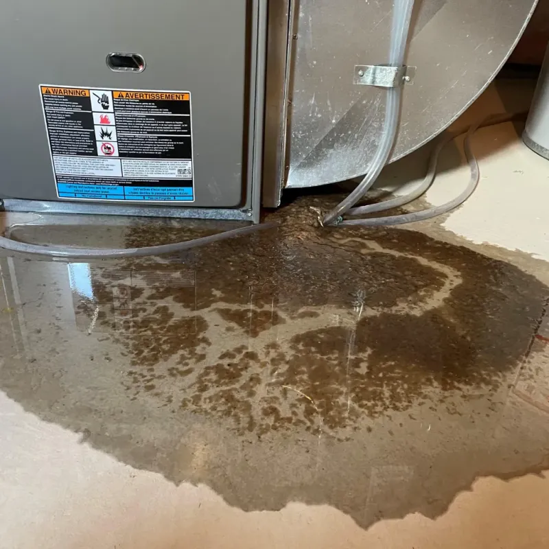 Appliance Leak Cleanup in Monroe County, AL